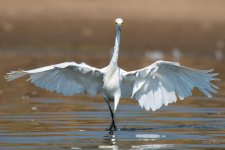 SnowyStearns-309.jpg