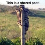 share.jpg