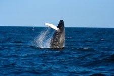 DSC_8406.jpg