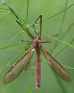 DSC_4972.jpg