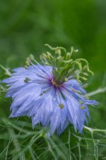 DSC_5004.jpg