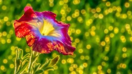 710_7740-Edit.jpg