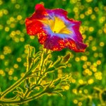 710_7742-Edit.jpg
