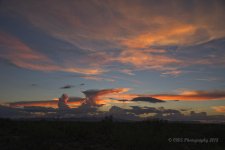 8-26-18-cr__7507238_HDR-ON1.jpg