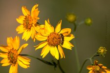 8-27-18-cr__D7K9686.jpg