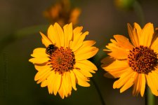 8-27-18-cr__D7K9687.jpg
