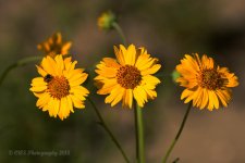 8-27-18-cr__D7K9688.jpg