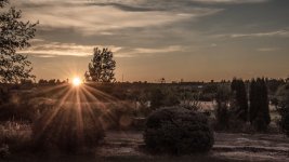 750_3988-Edit.jpg