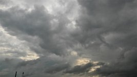 20180822_082444_HDR.jpg