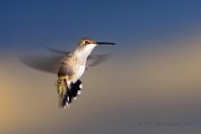 9-2-18-cr__D7K9839.jpg
