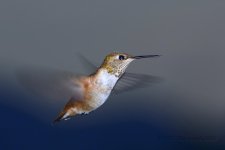 9-2-18-cr__D7K9847.jpg
