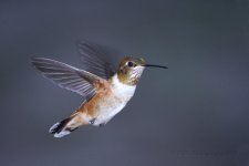 9-2-18-cr__D7K9874.jpg