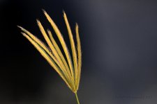 9-3-18-cr__D7K9923.jpg