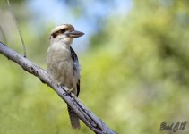 DSC_6915.jpg