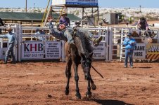 Onslow Rodeo-7a.jpg