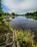 DSC_5184.jpg
