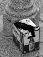 Corona.jpg