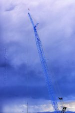 9-5-18-cr__D7K9941-Lookup.jpg