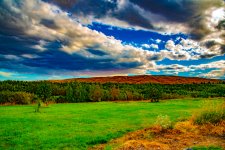 750_3995.jpg