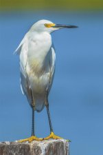 DSC_0129.jpg