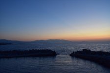 DSC_1226a.jpg
