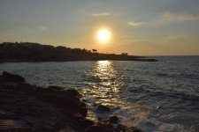DSC_1258a.jpg