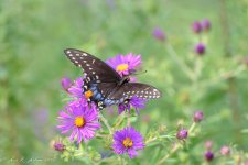 20180916-_LRL3472.jpg