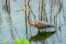 D73_2239-Edit.jpg