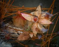 DSC_5514.jpg