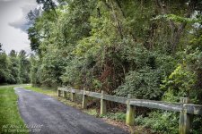 _DSC7067 low res.jpg