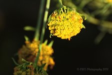 9-25-18-cr__D7K0097.jpg