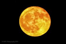 9-25-18-cr__D7K0100.jpg