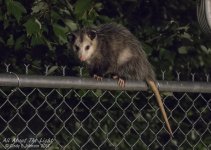 _DSC0703 low res.jpg