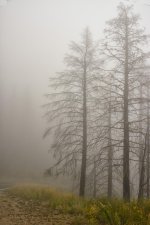 10-01-18-cr__7507646.jpg