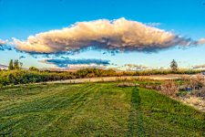 750_4604-Edit.jpg