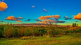 750_4611-Edit.jpg