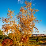 750_4649-Edit.jpg