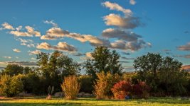 750_4651-Edit.jpg