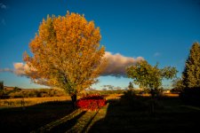 750_4660-Edit.jpg