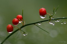 DSC_5812.jpg