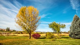 750_4683-Edit.jpg