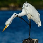 DSC_0751.jpg