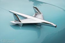 _DSC7305 low res.jpg