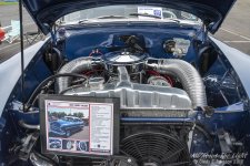 _DSC7278 low res.jpg