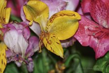 10-08-18-cr__D7K0160.jpg