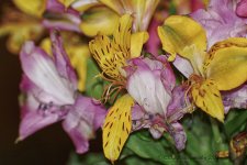 10-08-18-cr__D7K0161.jpg