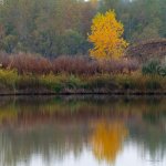 FallReflection-300.jpg