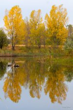 Fall-300.jpg