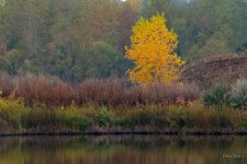 Fall-301.jpg