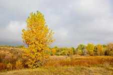 Fall-306.jpg